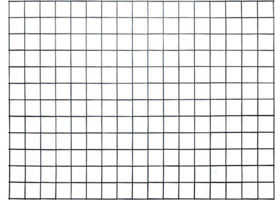 50×50×2.5mm 금속 감금소 분말 입히는 철망사 패널 2.2m에 의하여 직류 전기를 통하는 강철
